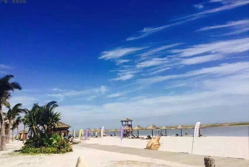 碧桂园滨海国际实景图