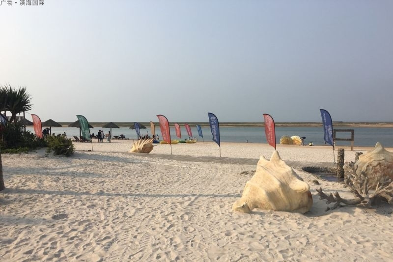 碧桂园滨海国际实景图