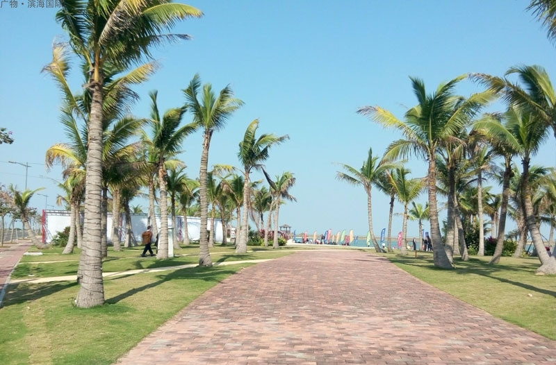 碧桂园滨海国际实景图