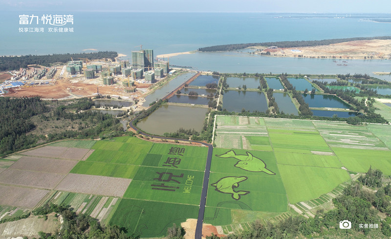 富力·悦海湾实景图