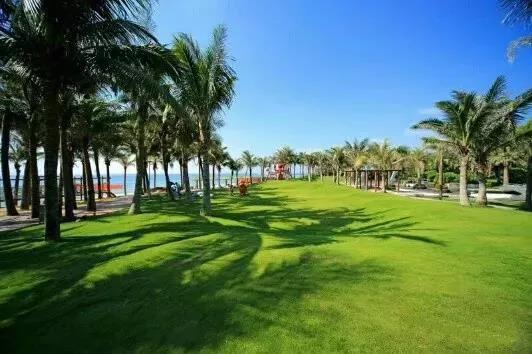 富力·悦海湾实景图