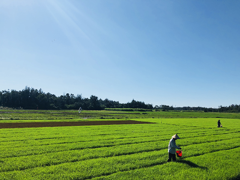 富力·悦海湾实景图