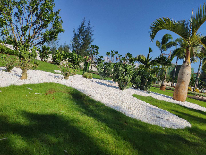 富力·悦海湾实景图