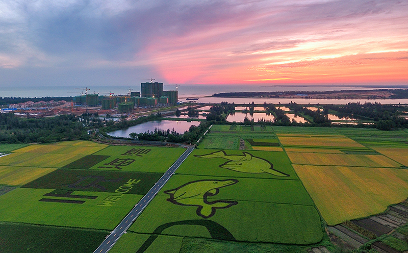 富力·悦海湾实景图