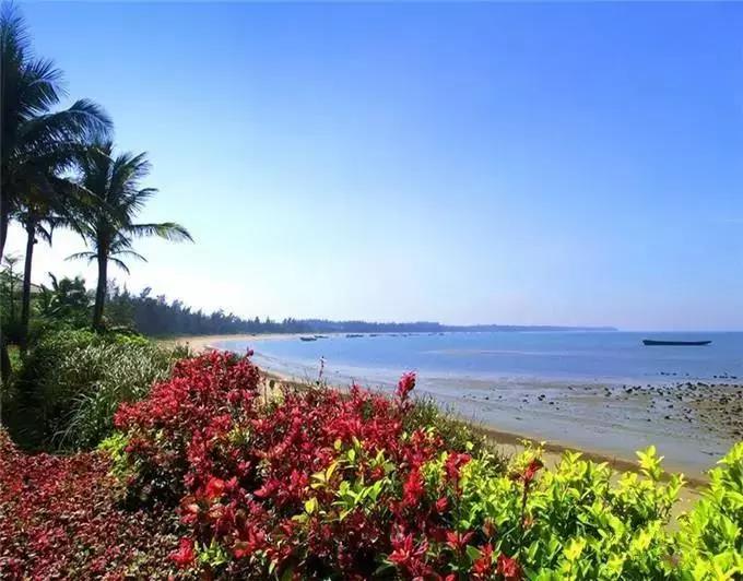 富力·悦海湾实景图