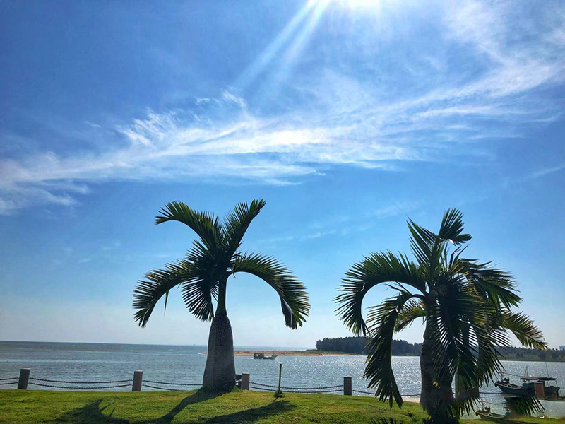 富力·悦海湾实景图