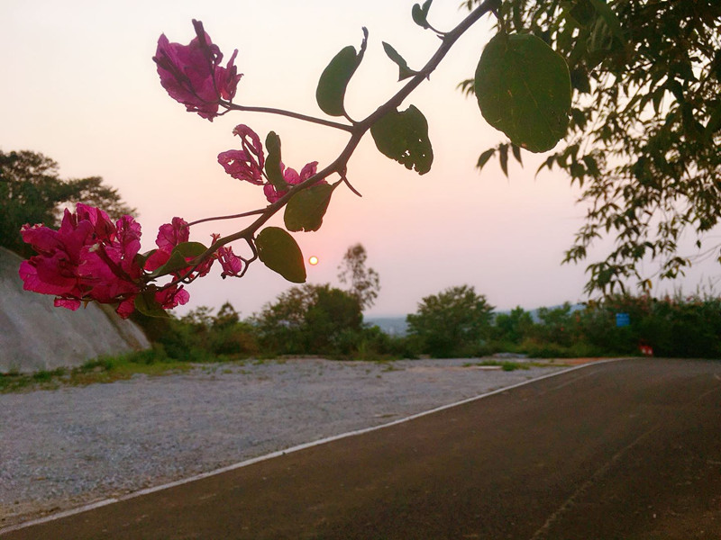 碧桂园雅拉湖畔森林公园2