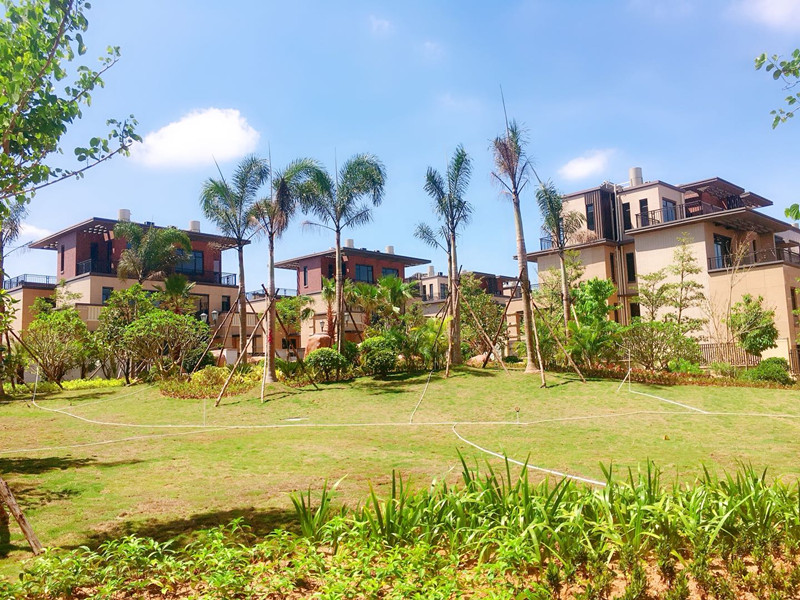 碧桂园雅拉湖畔实景图2