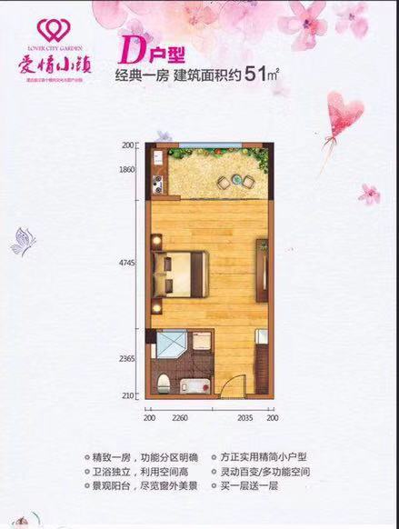 棕榈水城D户型图