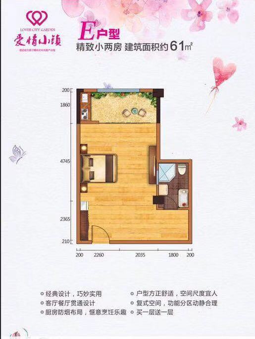 棕榈水城E户型图