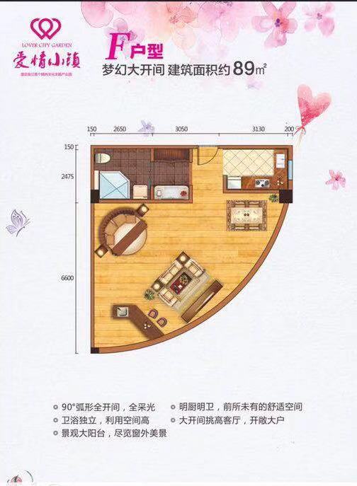 棕榈水城F户型图