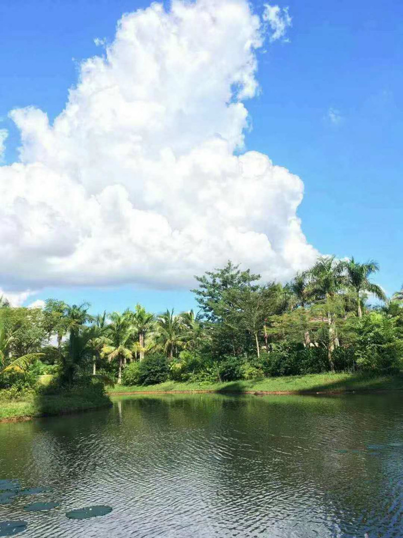 棕榈水城实景图3