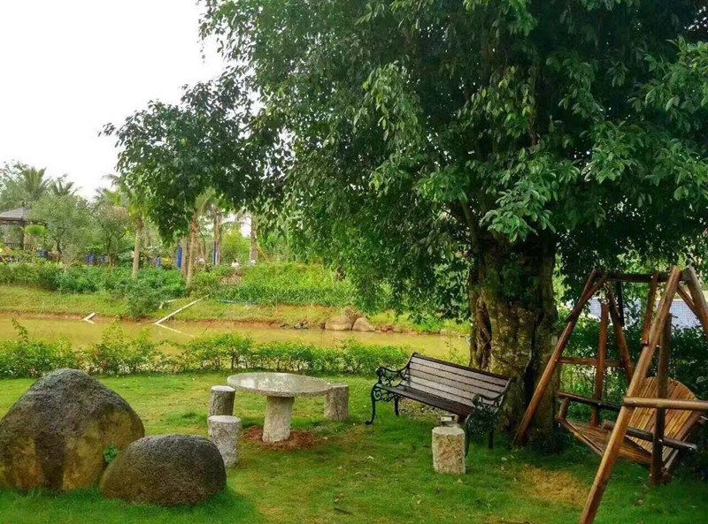 棕榈水城实景图4