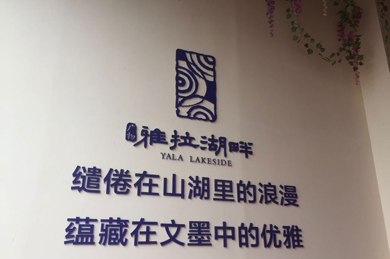 碧桂园雅拉湖畔样板间