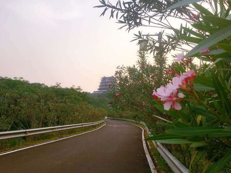 碧桂园雅拉湖畔实景图