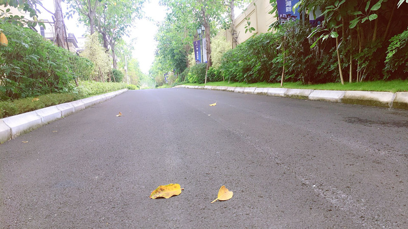 碧桂园雅拉湖畔实景图