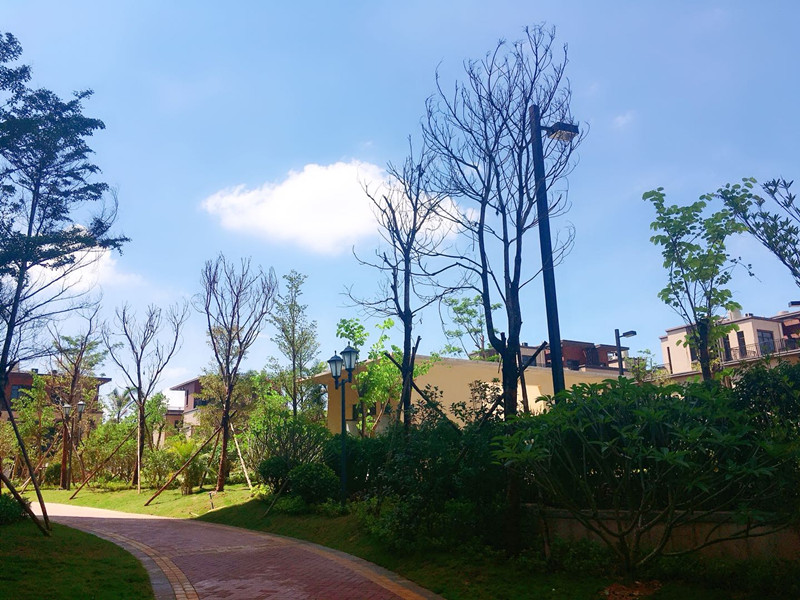 碧桂园雅拉湖畔实景图