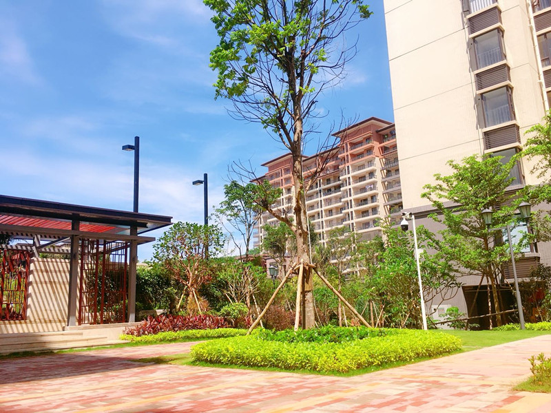 碧桂园雅拉湖畔实景图