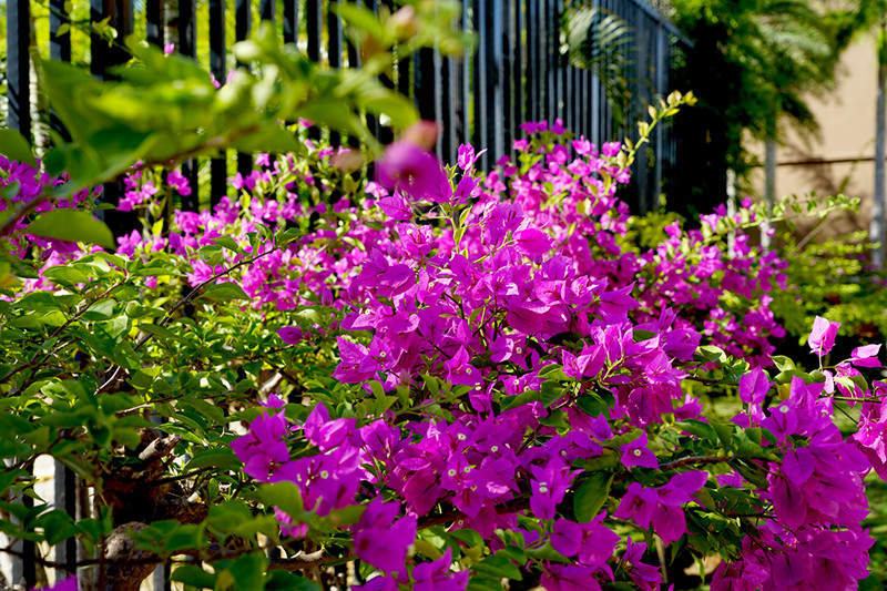 龙栖湾温泉1号实景图