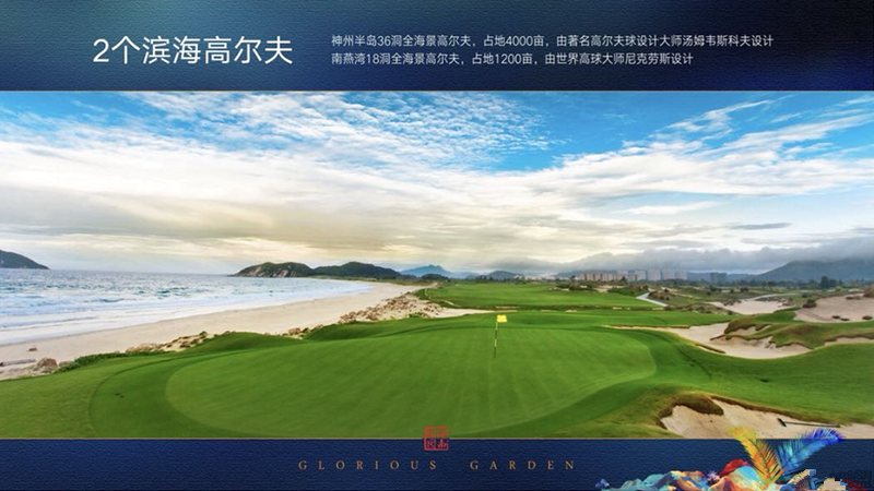 海南臻园效果图