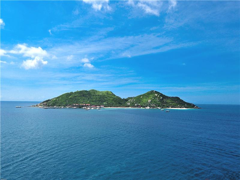 海南臻园实景图