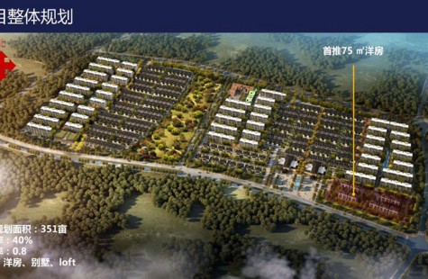 海南臻园鸟瞰图