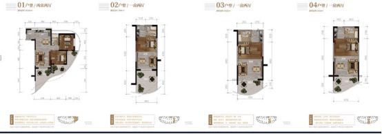 碧桂园中央半岛户型图