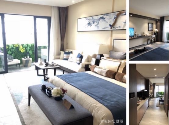 碧桂园中央半岛样板间