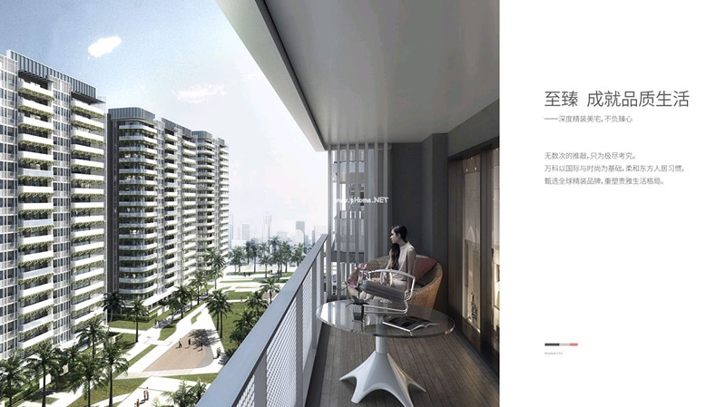 万科大都会左岸效果图