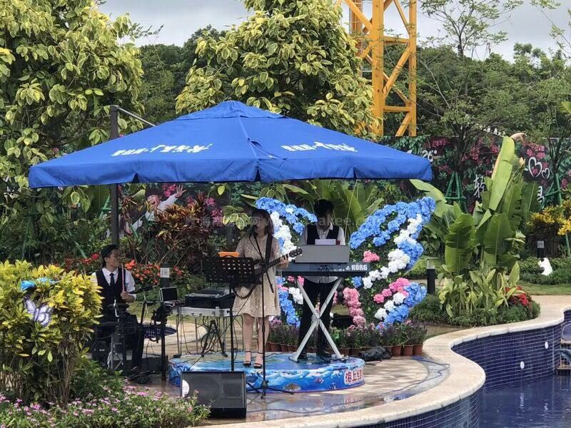 碧桂园十里繁花实景图