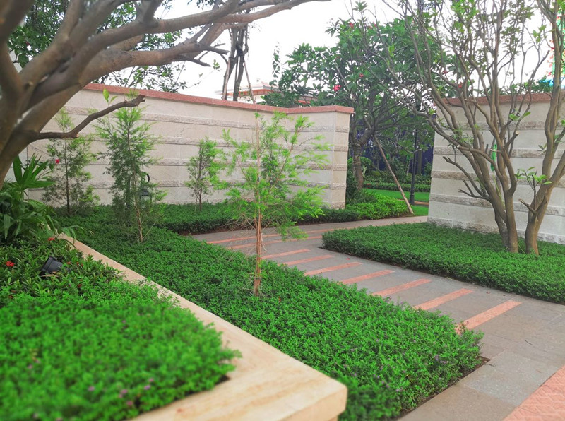 鲁能海蓝公馆实景图