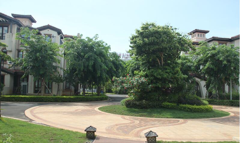 鲁能海蓝公馆实景图