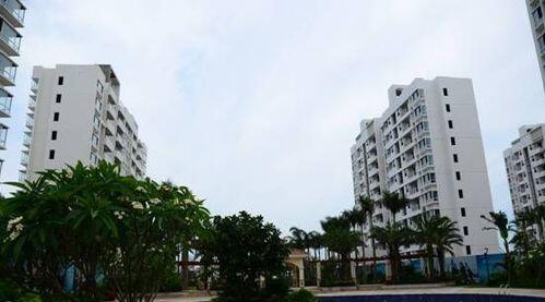 鲁能海蓝公馆实景图