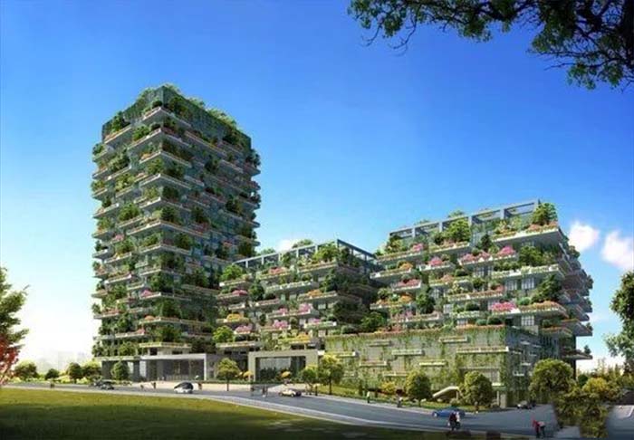 碧桂园中央半岛效果图