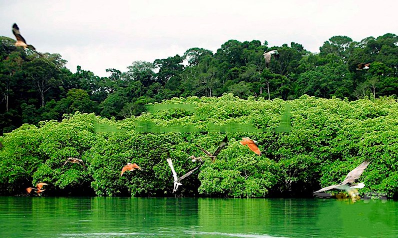 新华联·奥林匹克花园周边配套