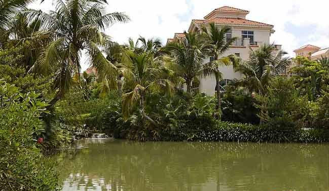 长信半岛美庐实景图