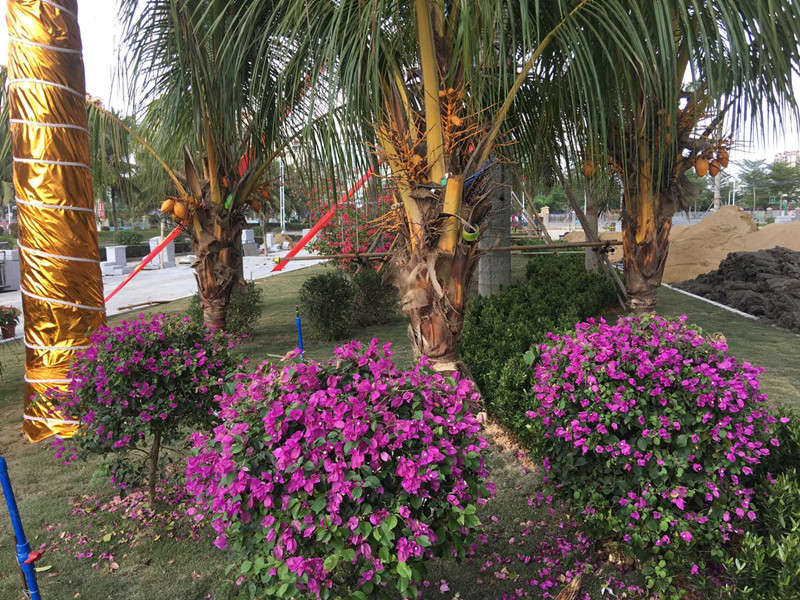 万旭商业广场实景图5