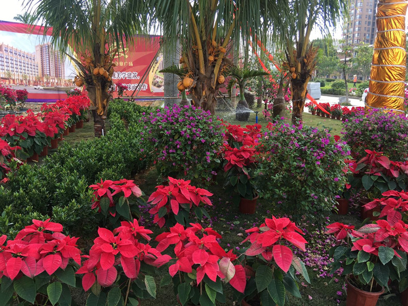 万旭商业广场实景图6