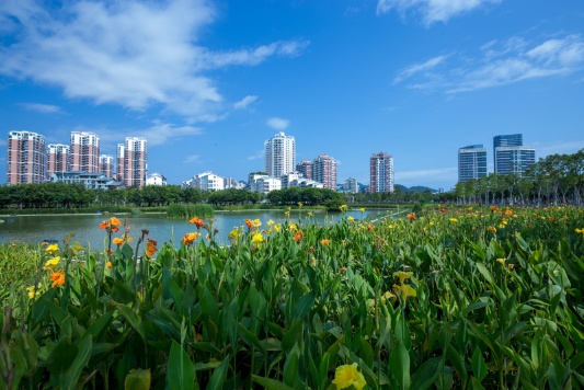 公园88号实景图10