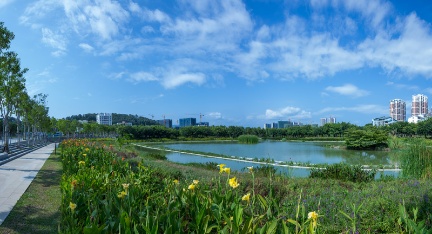 公园88号实景图11