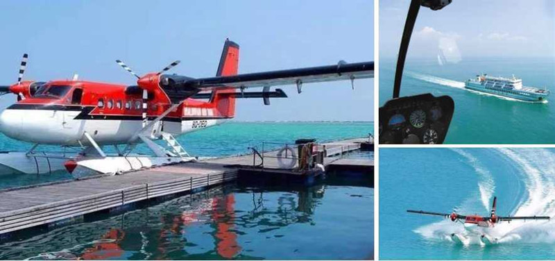 旭阳.热带森林实景图3