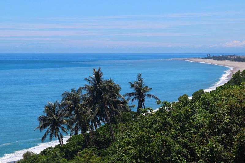 旭阳.热带森林实景图4