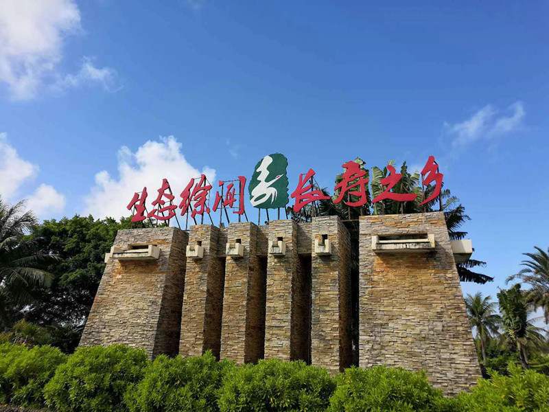 旭阳.热带森林实景图7