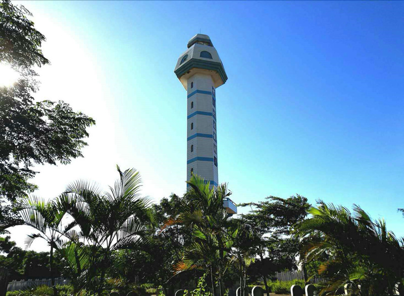 旭阳.热带森林实景图8