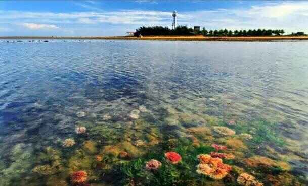 旭阳.热带森林实景图9