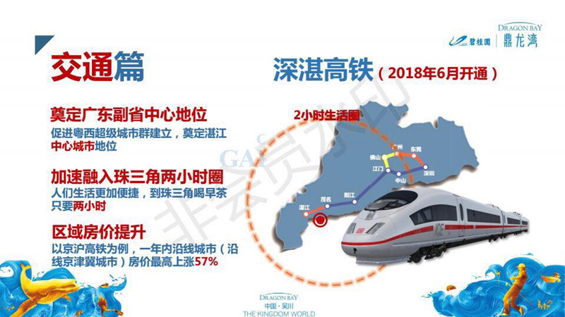 鼎龙·天海交通图2