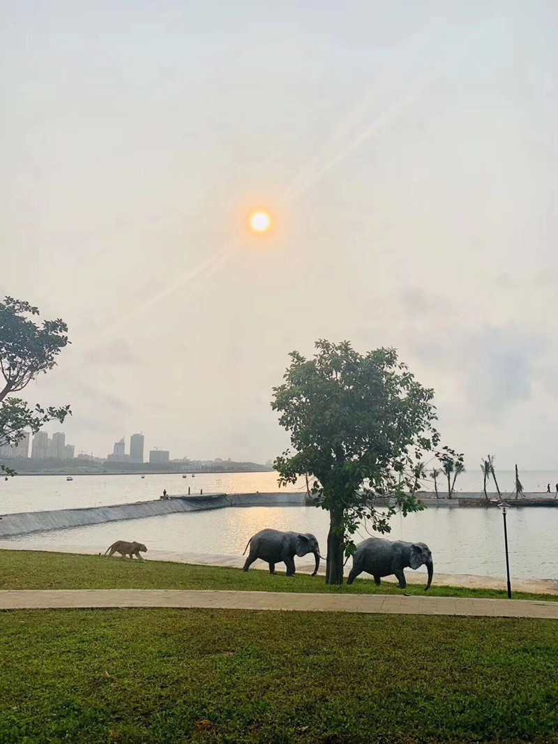 鼎龙·天海湾实景图3