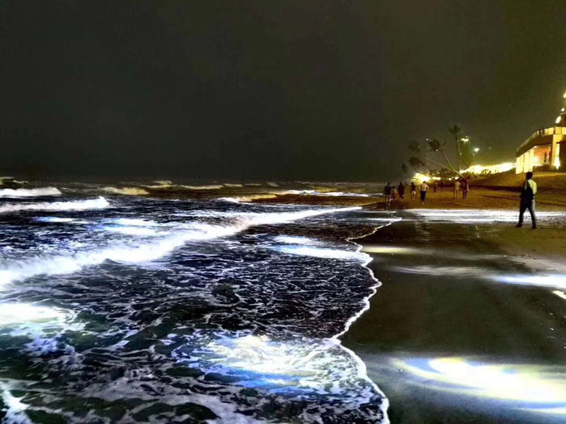 鼎龙·天海湾实景图15