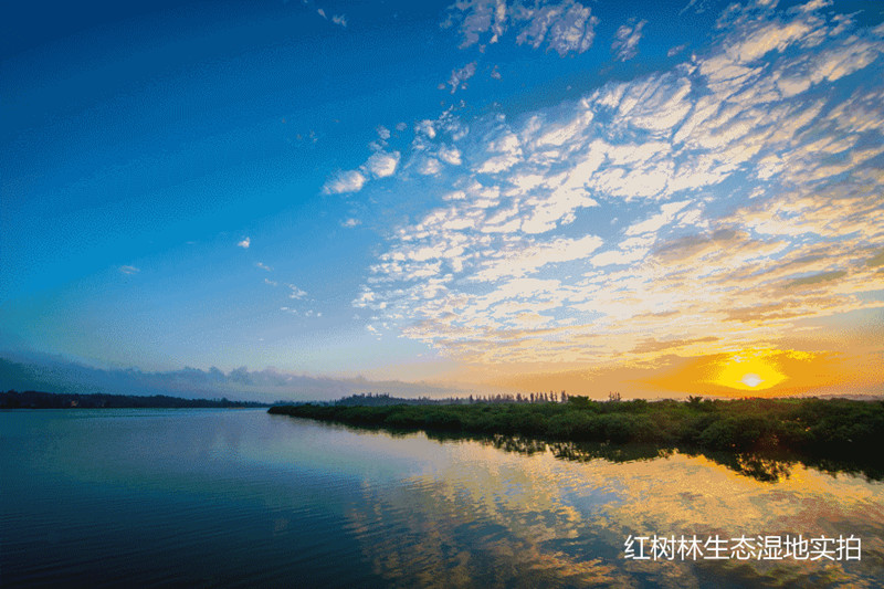 恒大御海天下实景图2