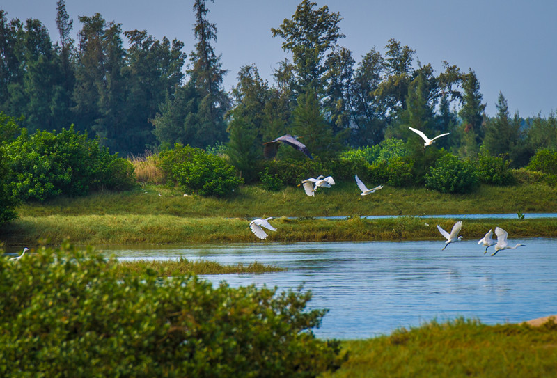 恒大御海天下实景图3
